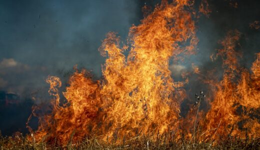 夢占い【山火事の夢】